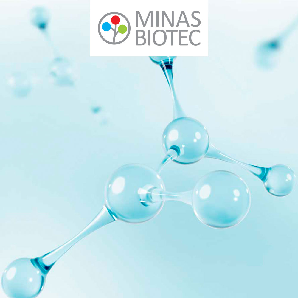 Minas Biotec e AMBIOTEC | Branding e Portal Setorial Minas Biotec e AMBIOTEC | Branding e Portal Setorial